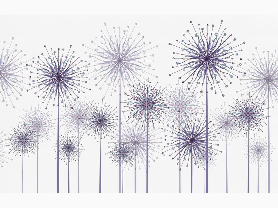 Fototapeta Abstrakcyjne kwiaty dmuchawce