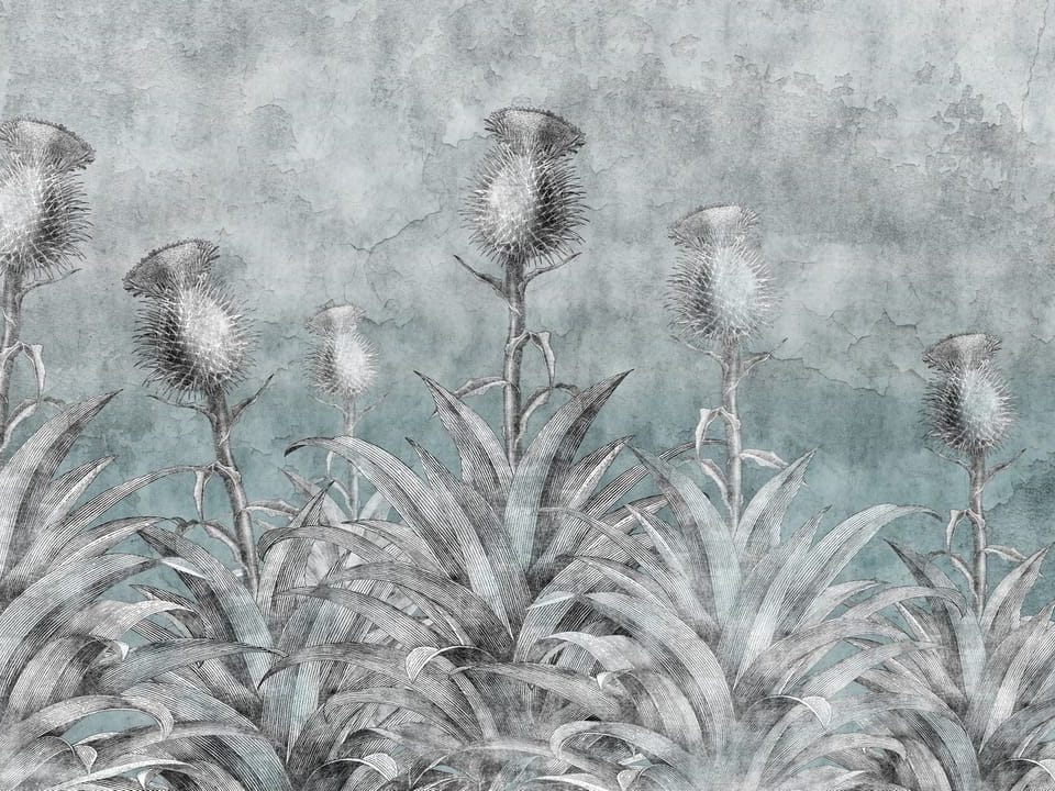 Fototapeta Kwiatowe Murale z Kolczastymi Roślinami