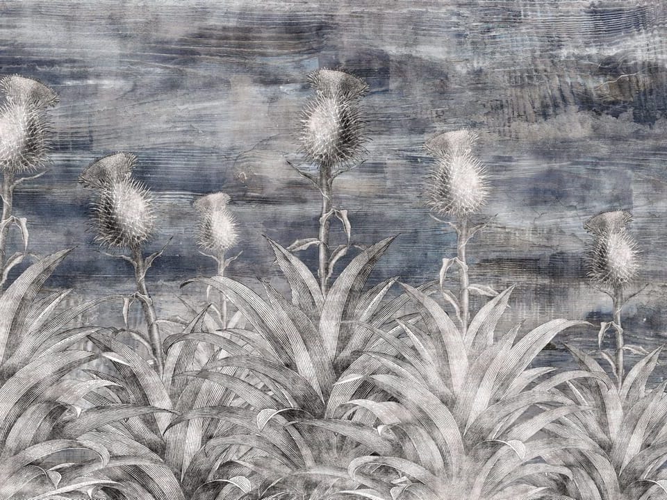 Fototapeta Kwiatowe murale z kolczastymi roślinami