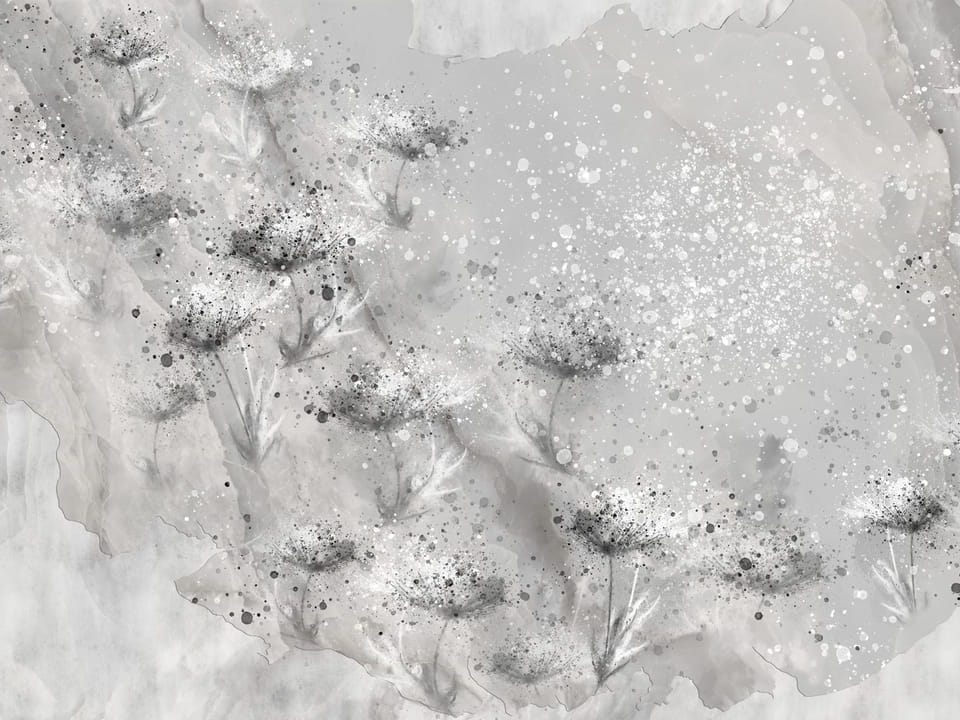 Fototapeta Abstrakcyjne Kwiaty na Betonie