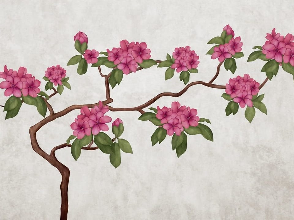 Fototapeta Gałąź z różowymi magnoliami