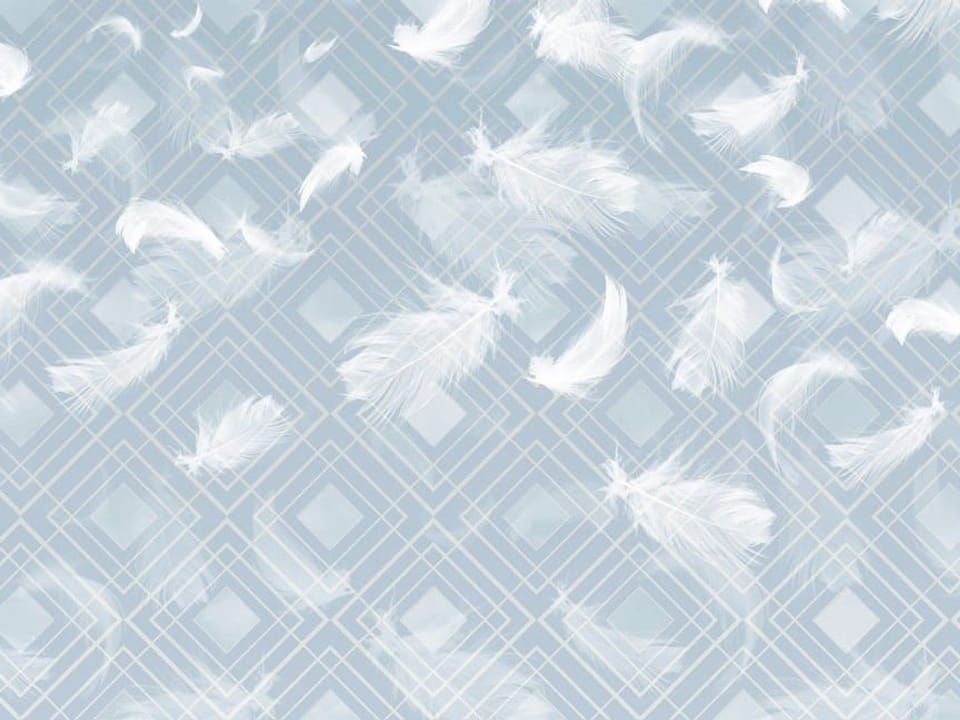 Fototapeta Białe pióra na geometrycznym tle