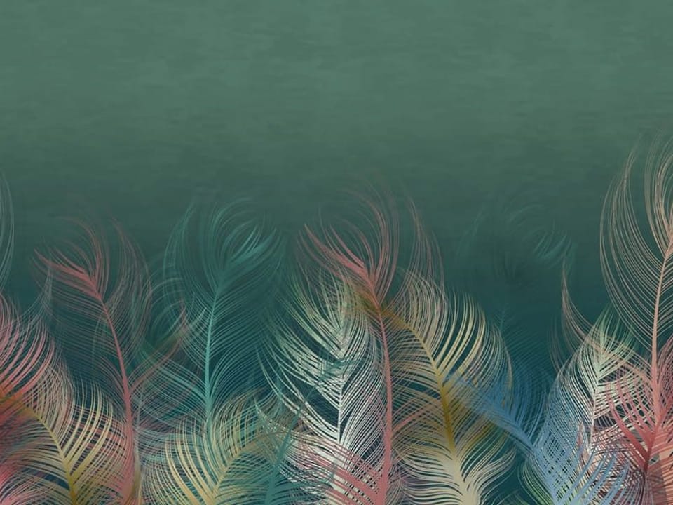 Fototapeta Kolorowe pióra na zielonym tle