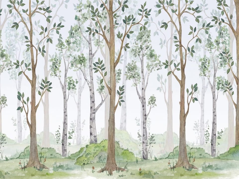 Fototapeta Leśny zakątek z wysokimi drzewami