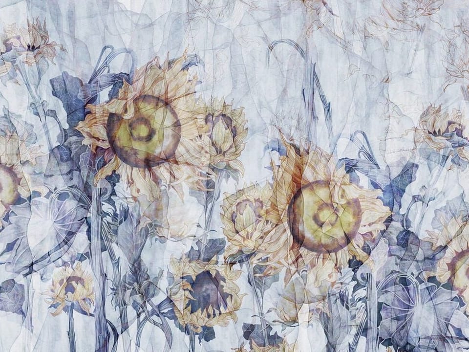 Fototapeta Słoneczniki na abstrakcyjnym tle