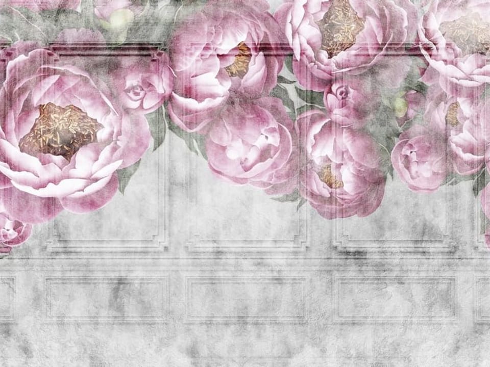 Fototapeta Różowe Piwonie na Szarym Tle