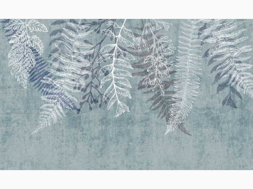 Fototapeta Delikatne liście paproci na ścianie