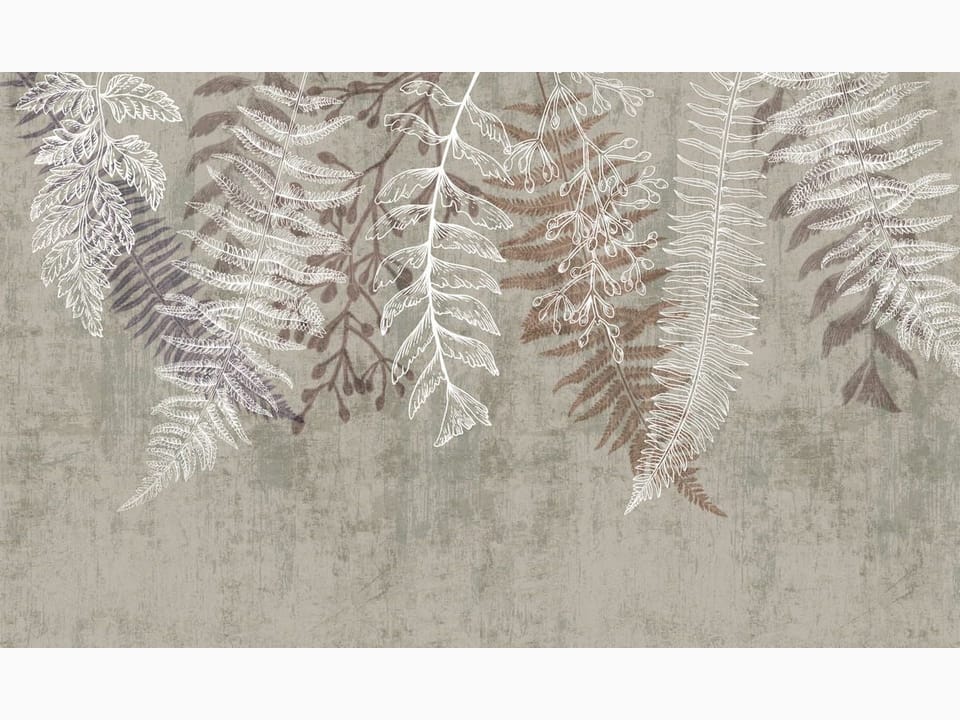 Fototapeta Liście paproci na szarym tle