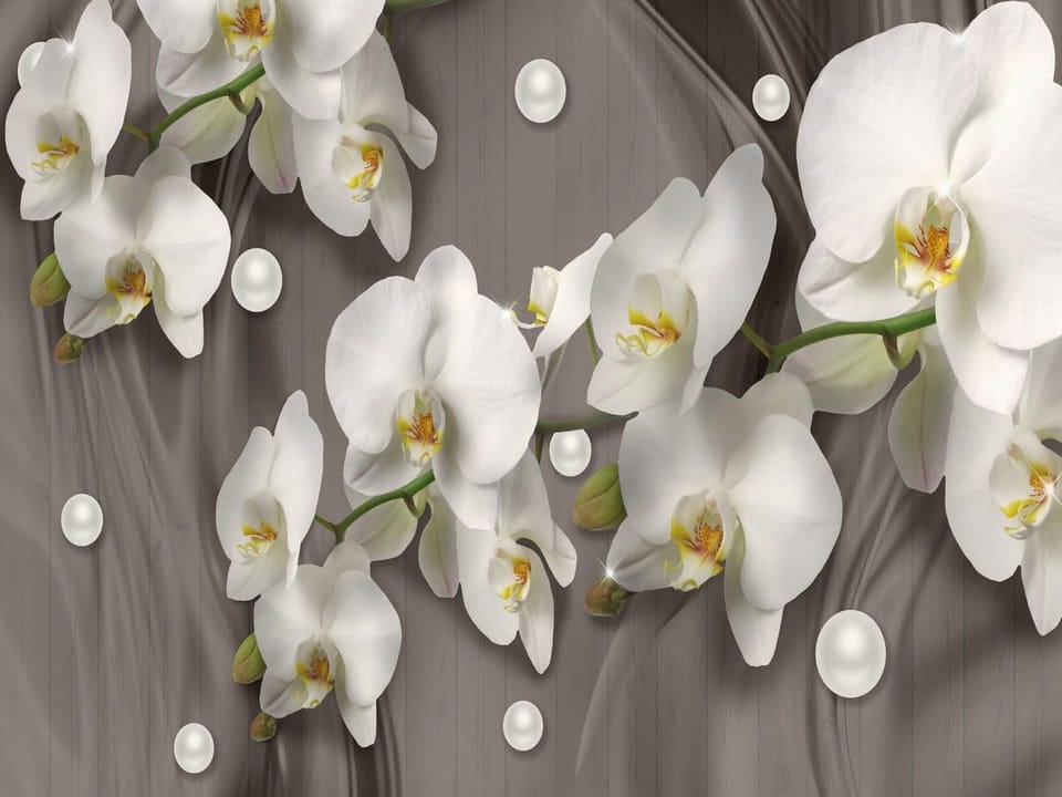 Fototapeta Białe orchidee na drewnianym tle