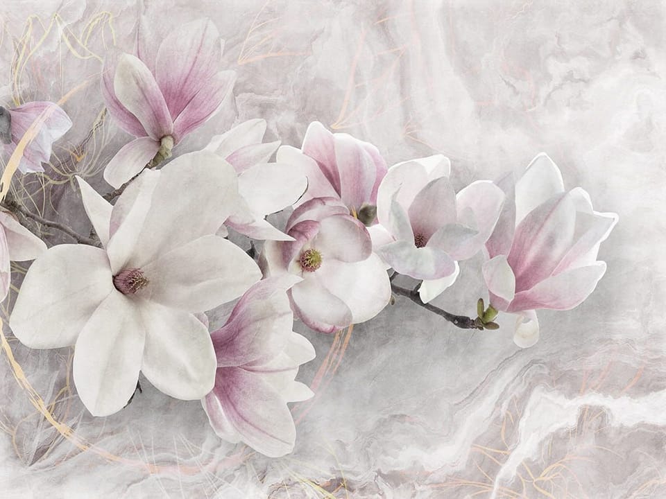 Fototapeta Magnolie w Delikatnych Różach