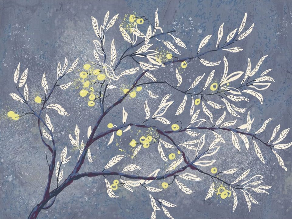 Fototapeta Gałąź drzewa z liśćmi i owocami