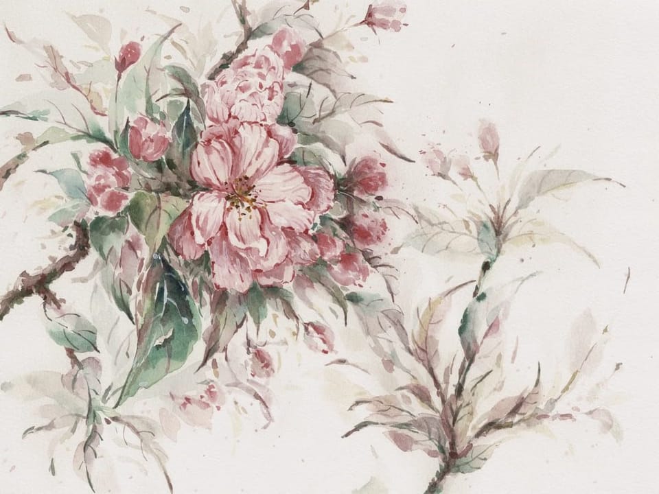 Fototapeta Różowe kwiaty sakury z liśćmi