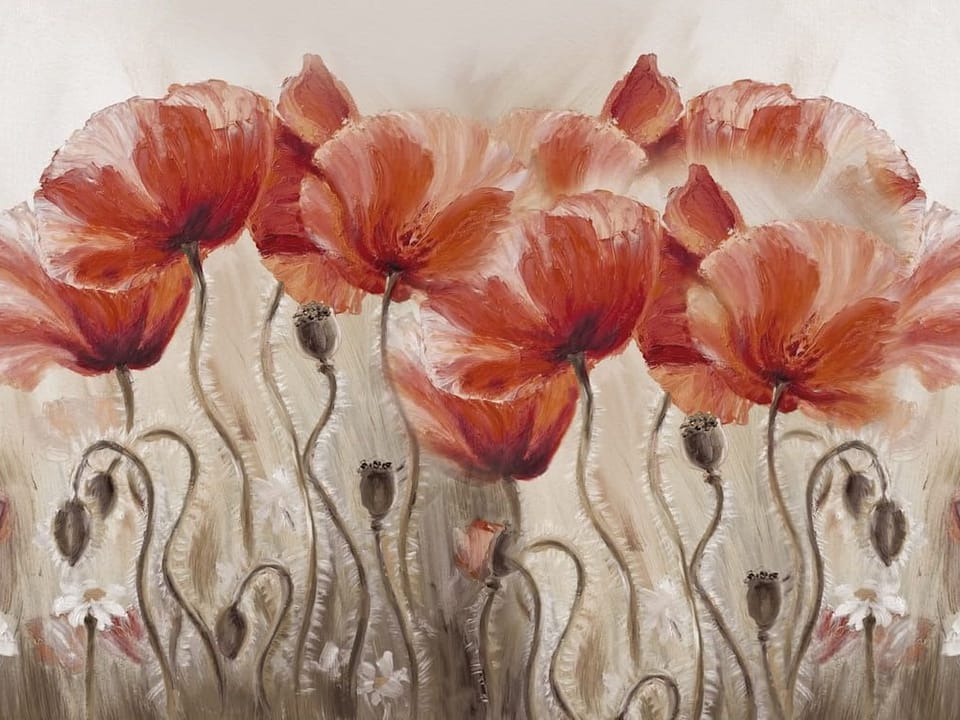 Fototapeta Czerwone maki na jasnym tle