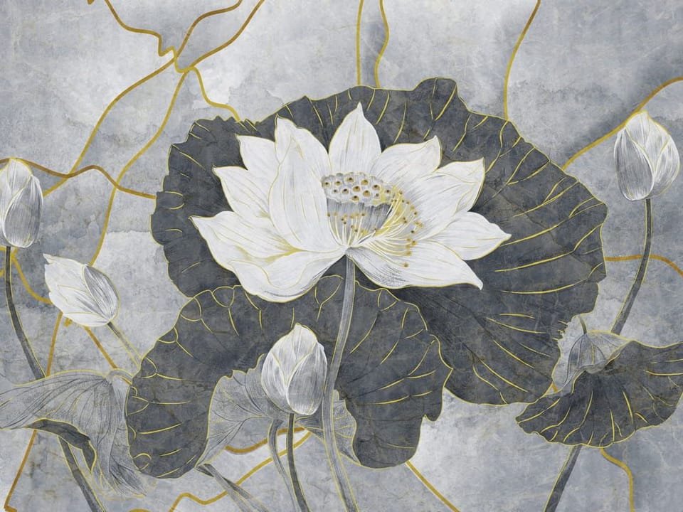 Fototapeta Biały kwiat lotosu i ciemne liście