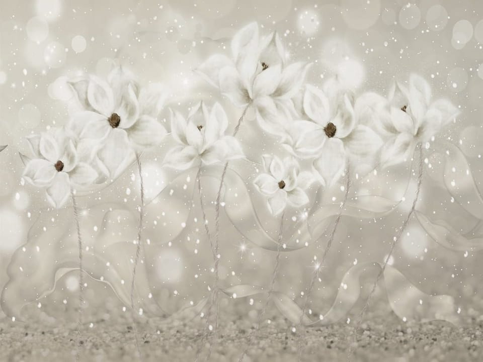 Fototapeta Białe kwiaty na tle bokeh