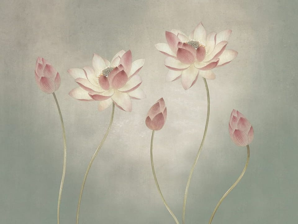 Fototapeta Lilie i kwiaty lotosu na łodygach