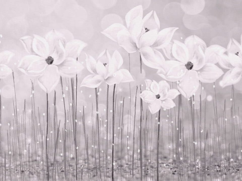 Fototapeta Polne Kwiaty na Długich Łodygach