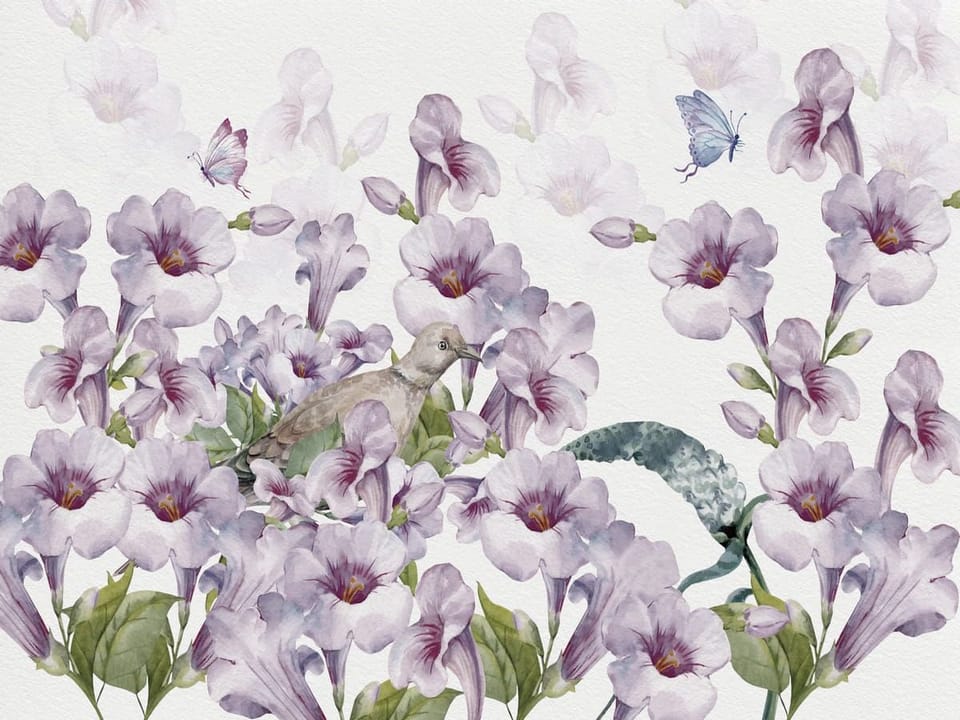 Fototapeta Polne kwiaty w fioletowych odcieniach