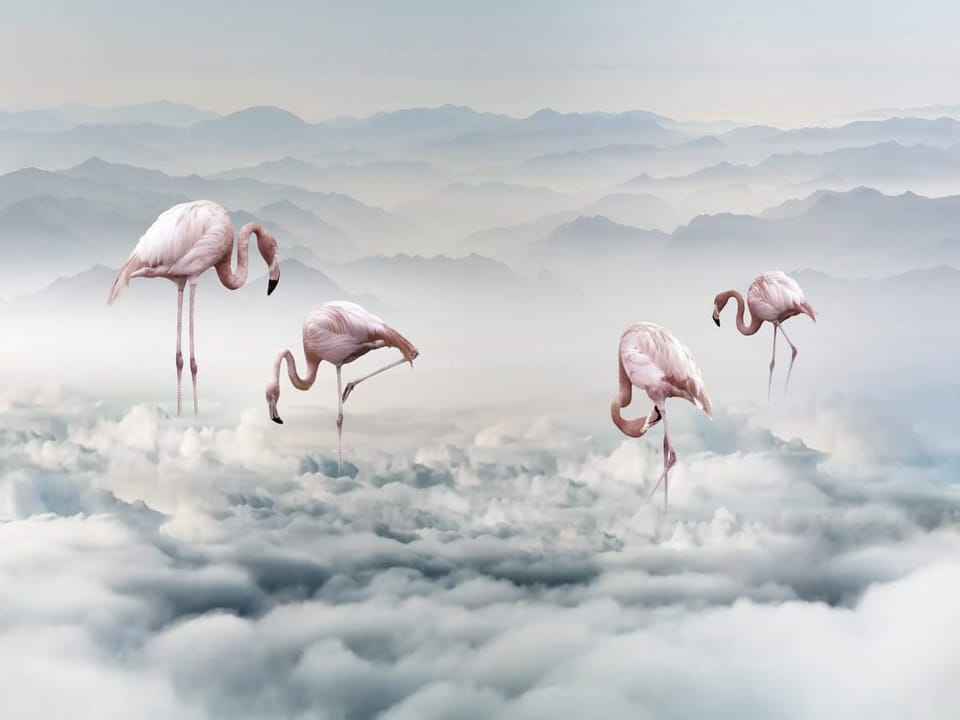 Fototapeta Flamingi na pastelowych chmurach