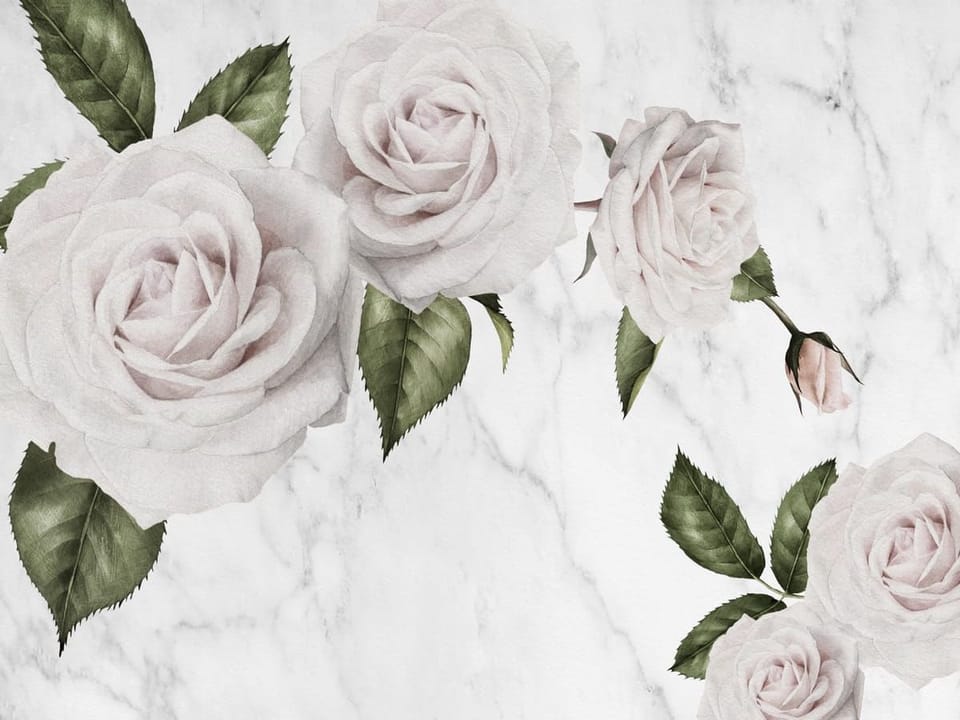 Fototapeta Eleganckie białe róże z liśćmi