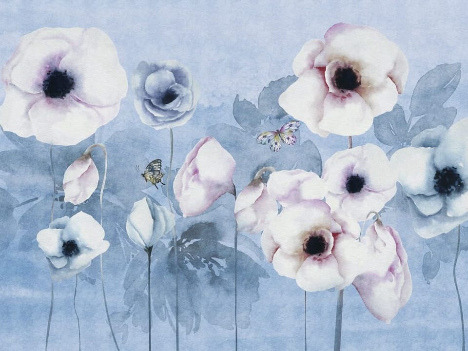 Fototapeta Maki na niebieskim tle