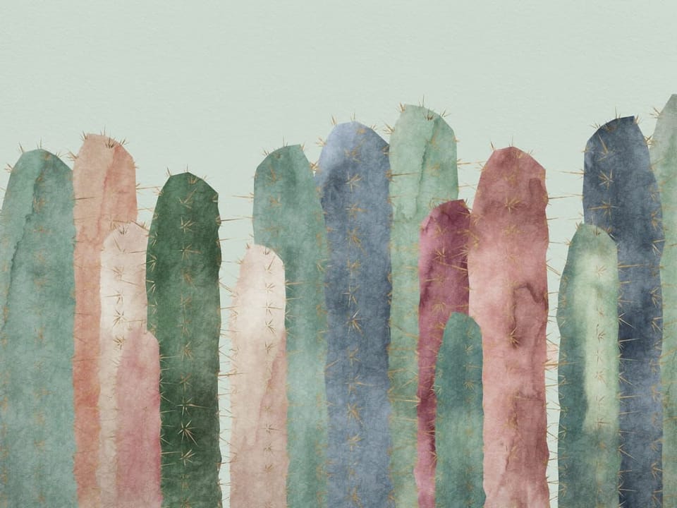 Fototapeta Kolorowe kaktusy na jasnym tle