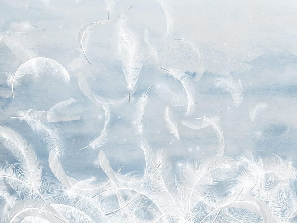 Fototapeta Unoszące się białe pióra