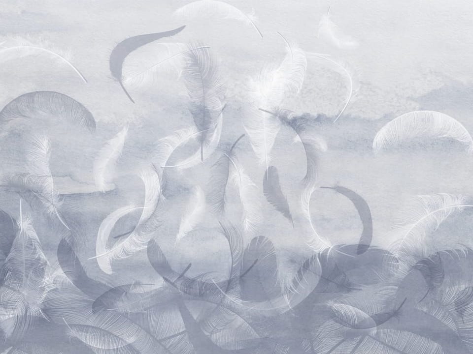 Fototapeta Unoszące się białe pióra