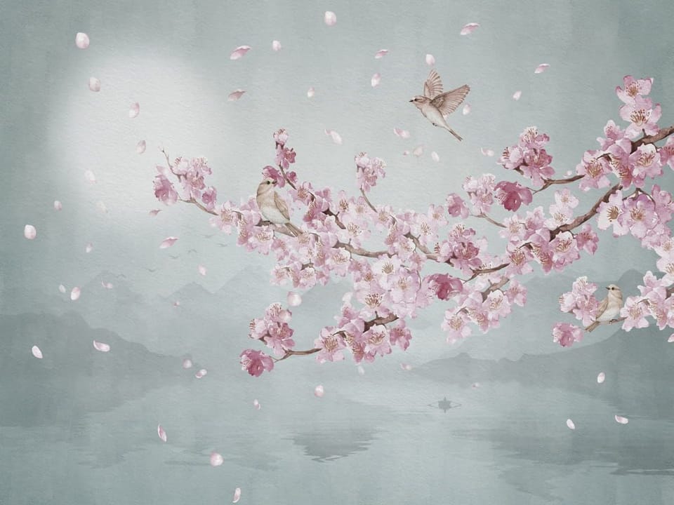 Fototapeta Gałąź Wiśni nad Jeziorem