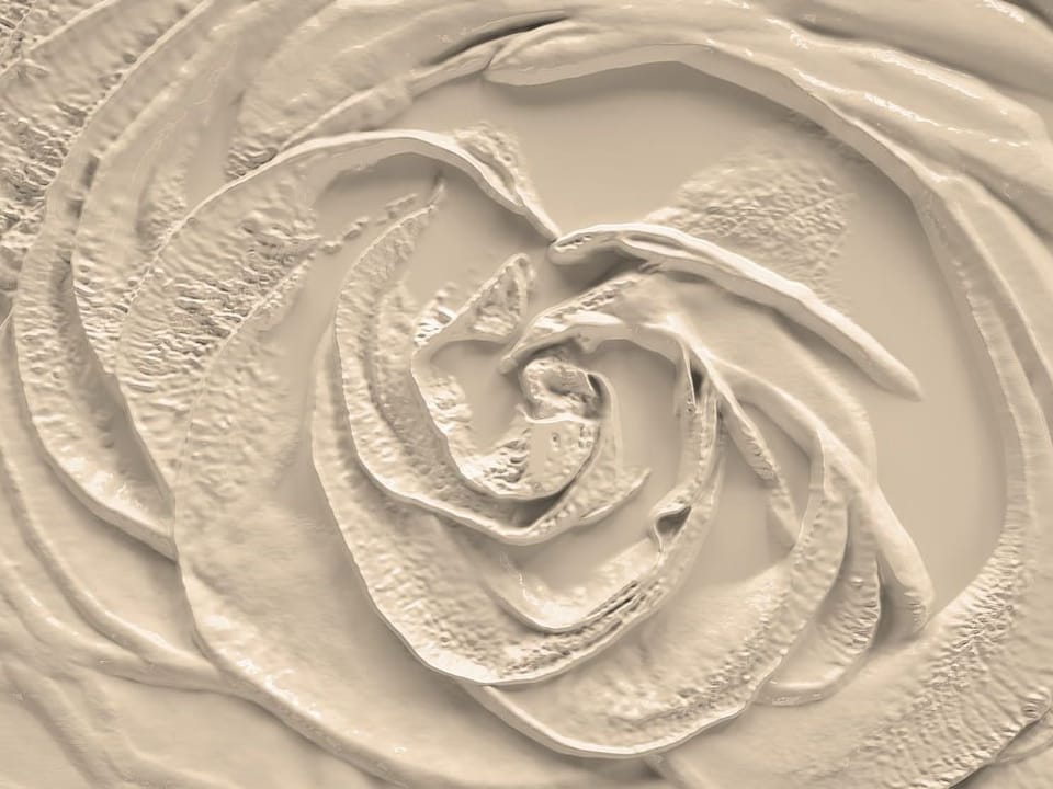 Fototapeta Abstrakcyjny wzór róży