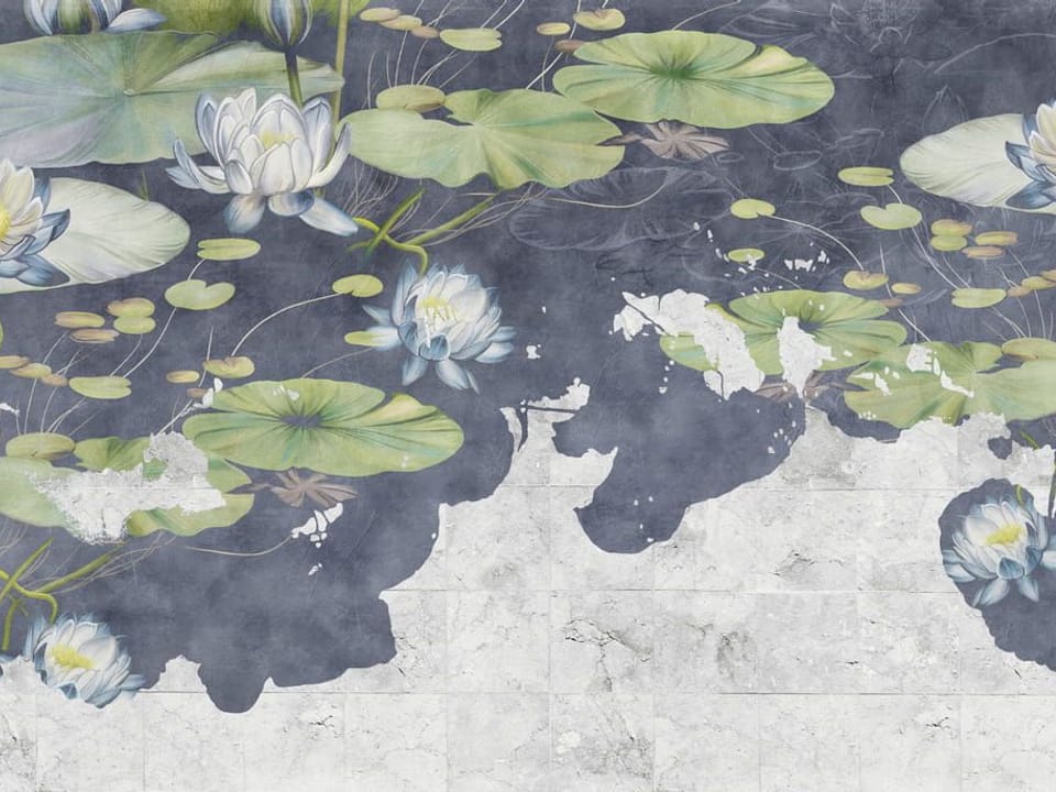 Fototapeta Lilie wodne na ciemnoniebieskim tle