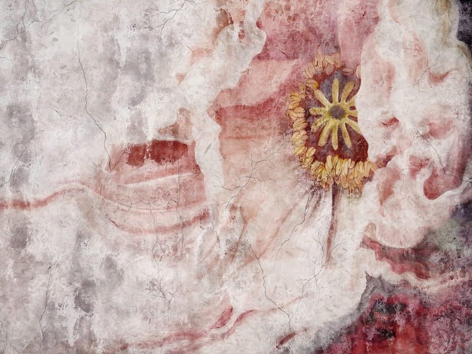 Fototapeta Tulipany z różowymi płatkami