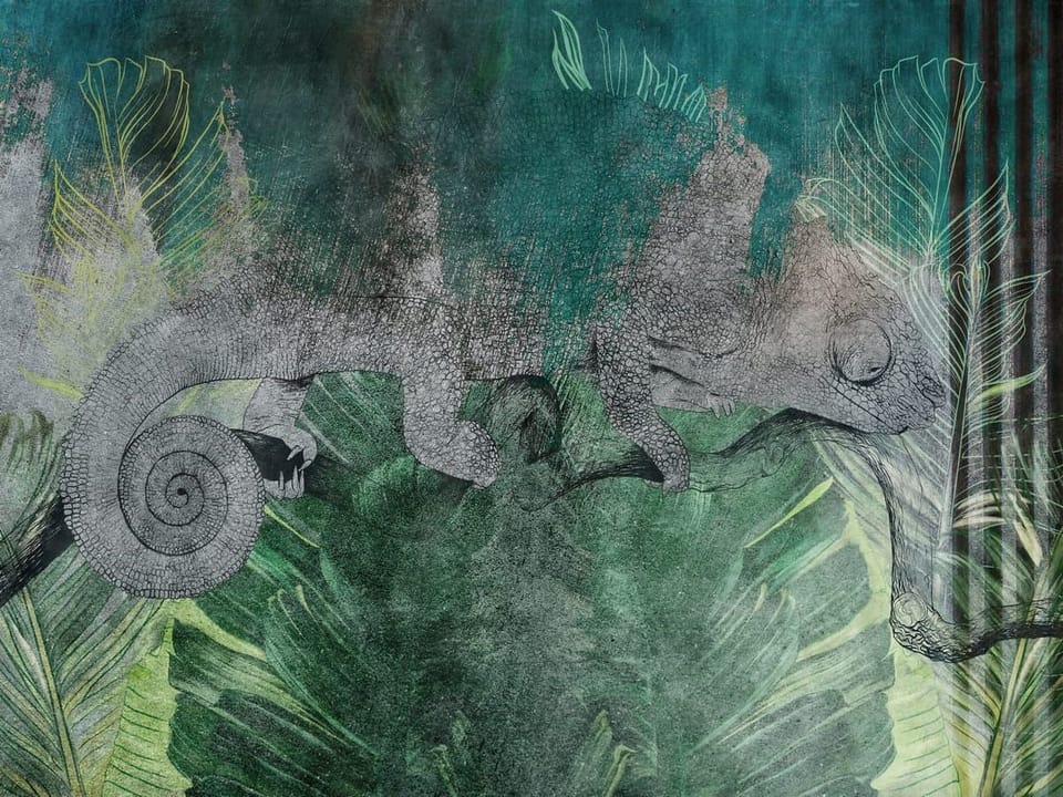 Fototapeta Kameleon wśród leśnych liści