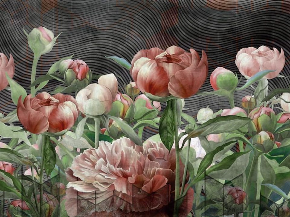 Fototapeta Bukiet Różowych Piwonii