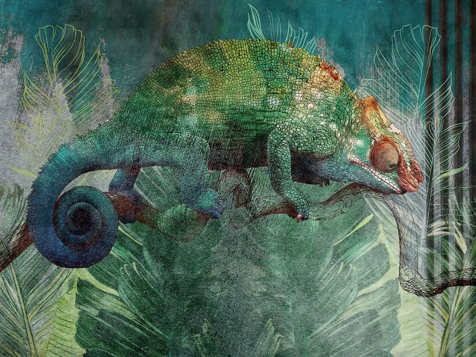 Fototapeta Kameleon wśród zieleni liści