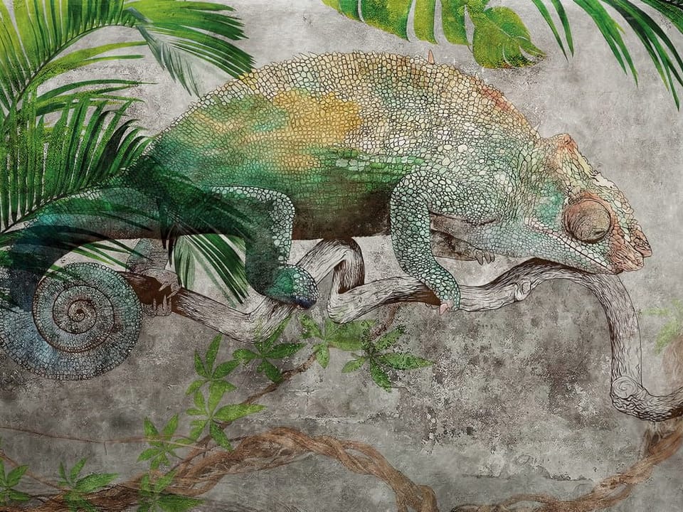 Fototapeta Kameleon na gałęzi w dżungli