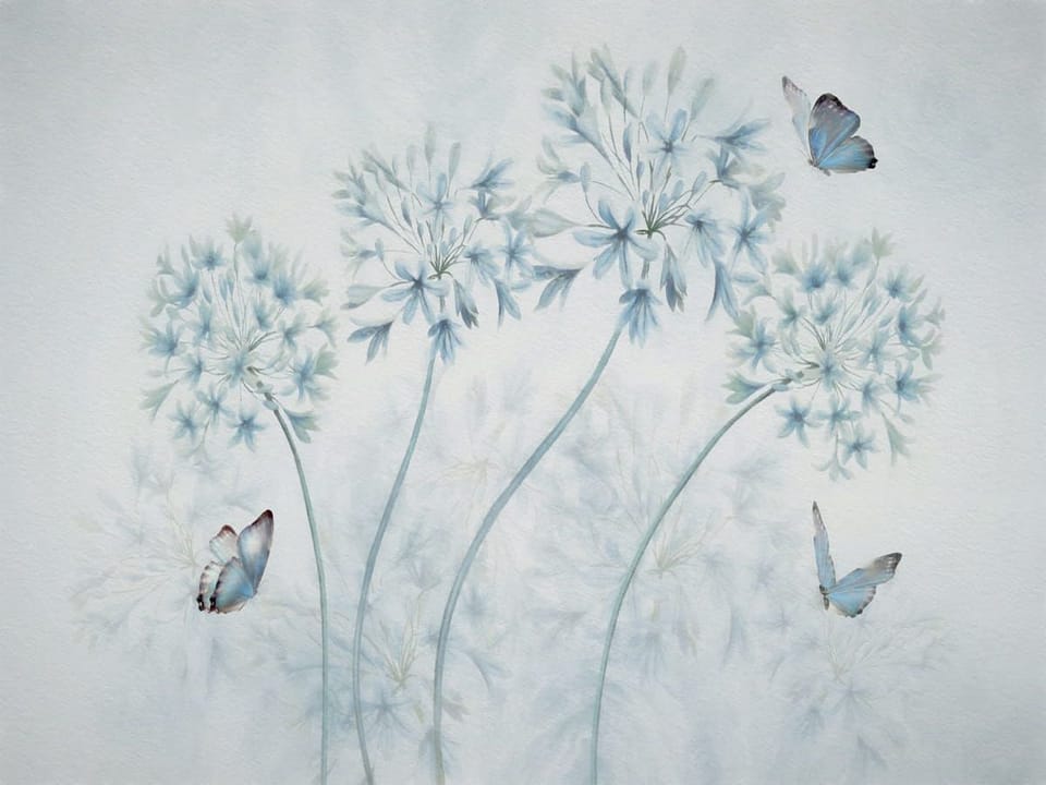 Fototapeta Delikatne polne kwiaty na łące