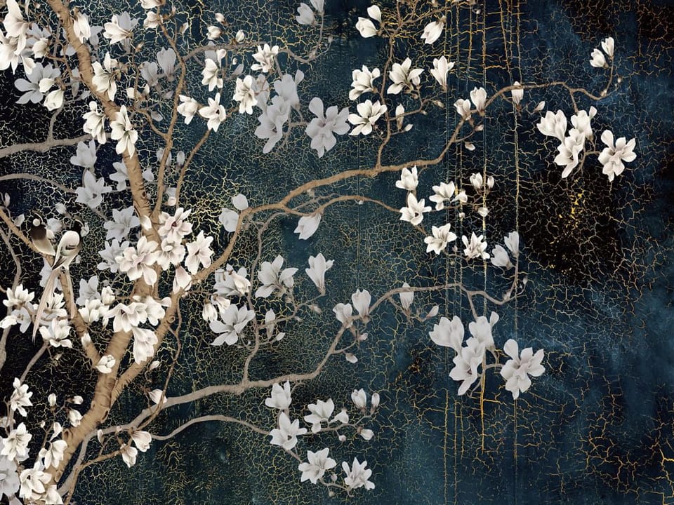 Fototapeta Magnolie na ciemnym tle