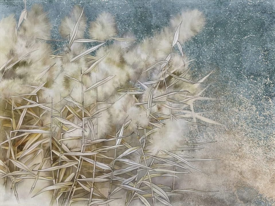 Fototapeta Puszyste trawy na wietrze