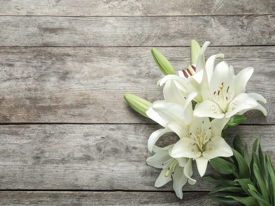 Fototapeta Bukiet białych lilii na desce