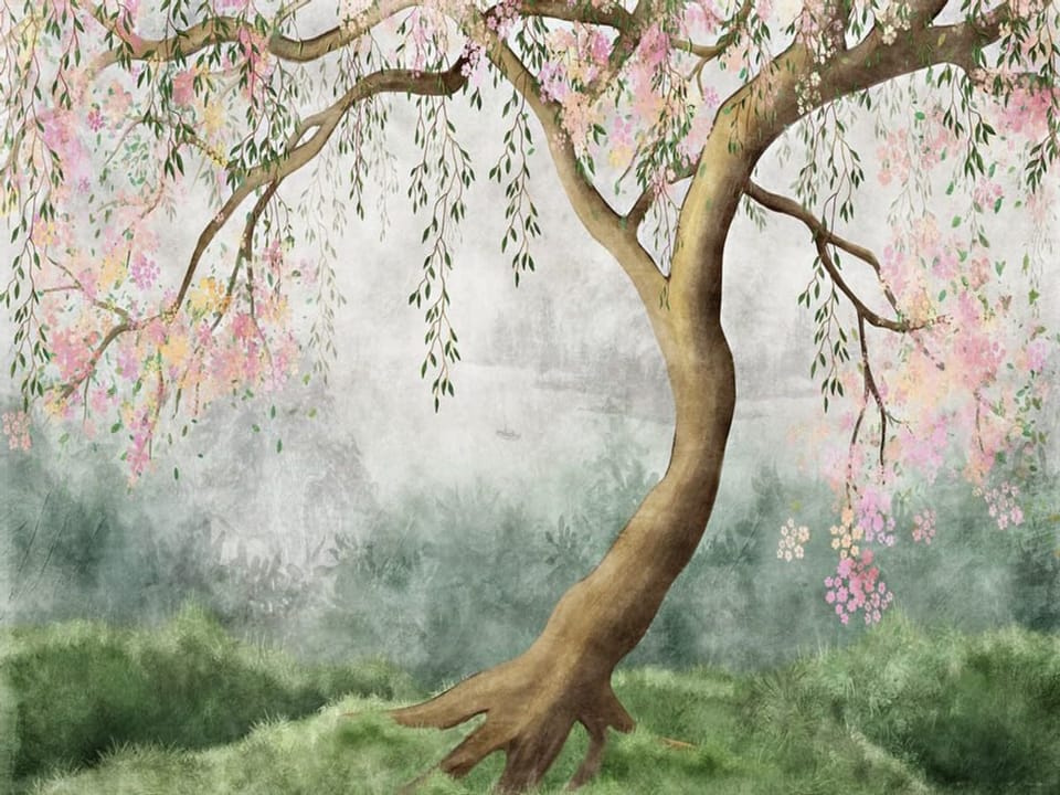 Fototapeta Sakura z kwitnącymi gałęziami