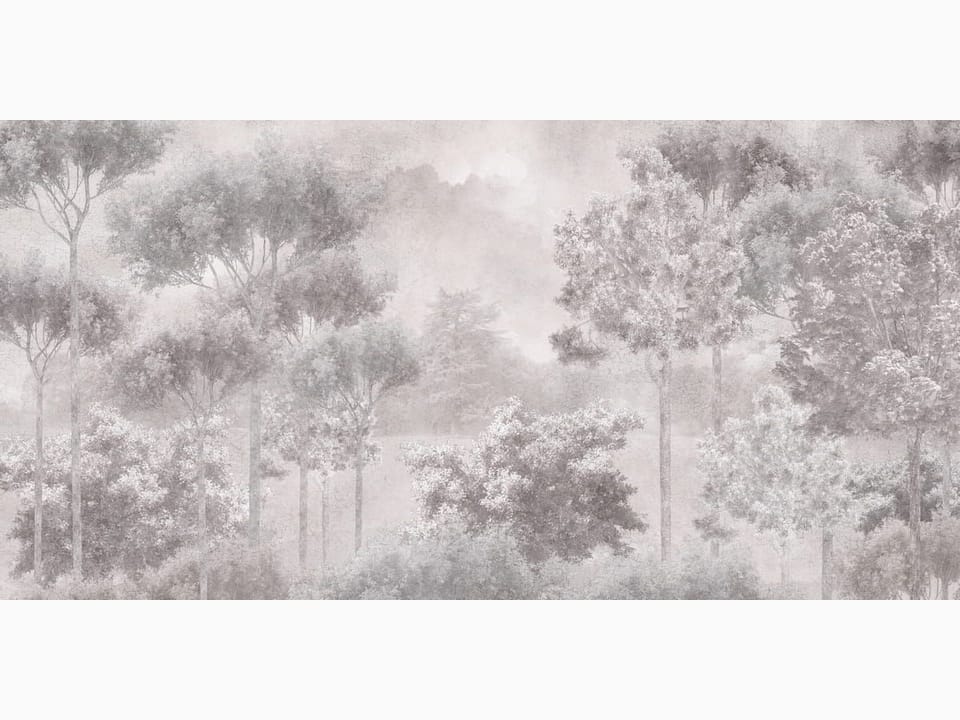 Fototapeta Leśne drzewa w mglistej scenerii