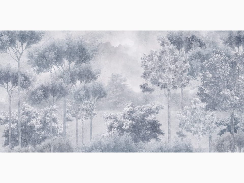 Fototapeta Drzewa w zamglonym lesie