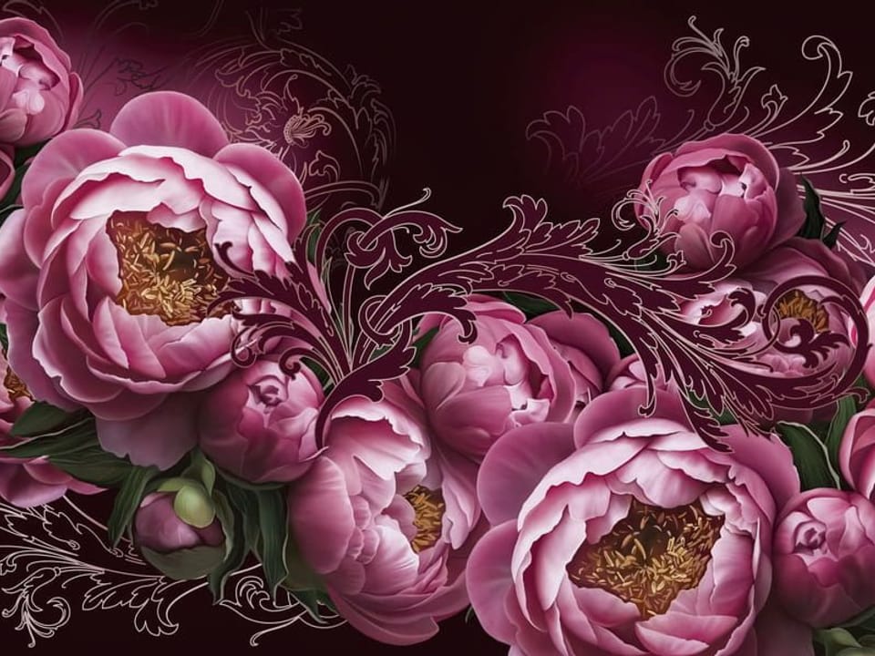 Fototapeta Różowe piwonie na ciemnym tle