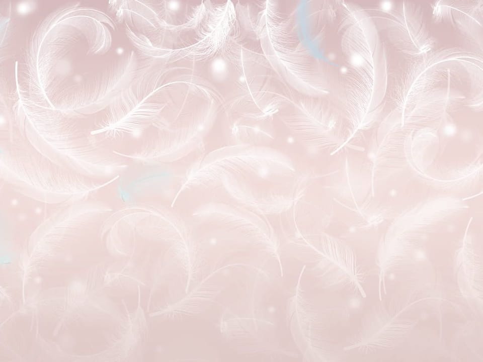 Fototapeta Unoszące się białe pióra