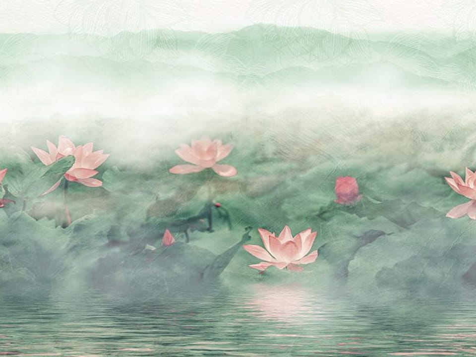 Fototapeta Lilie i kwiaty lotosu na wodzie