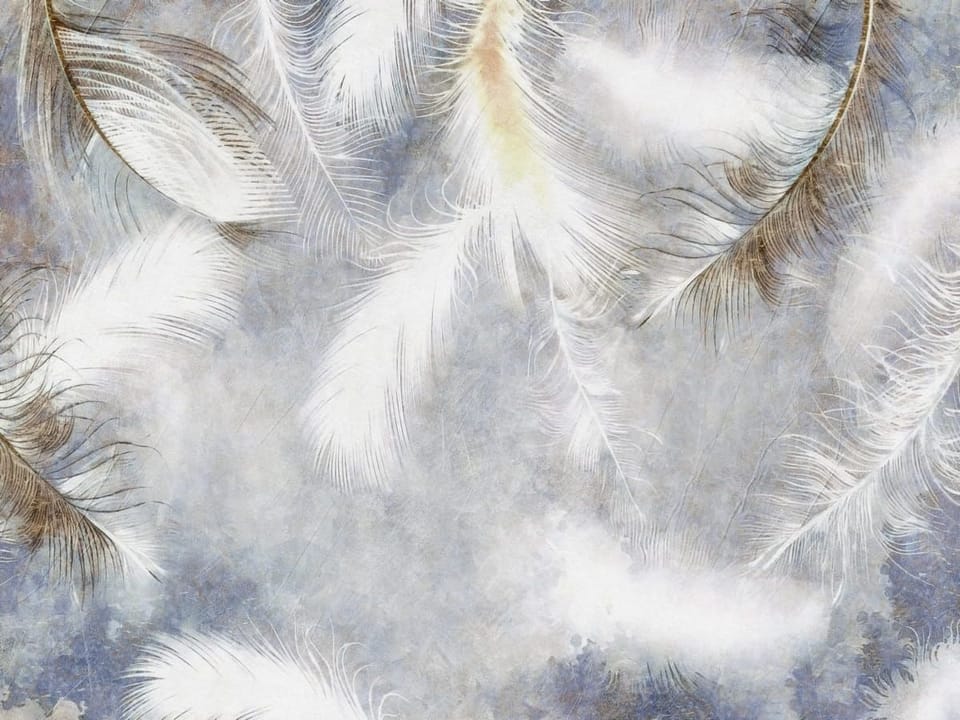 Fototapeta Delikatne białe pióra na tle