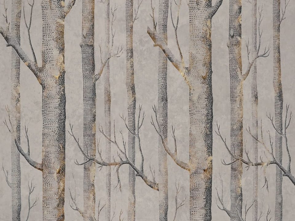 Fototapeta Pnie drzew w szarościach