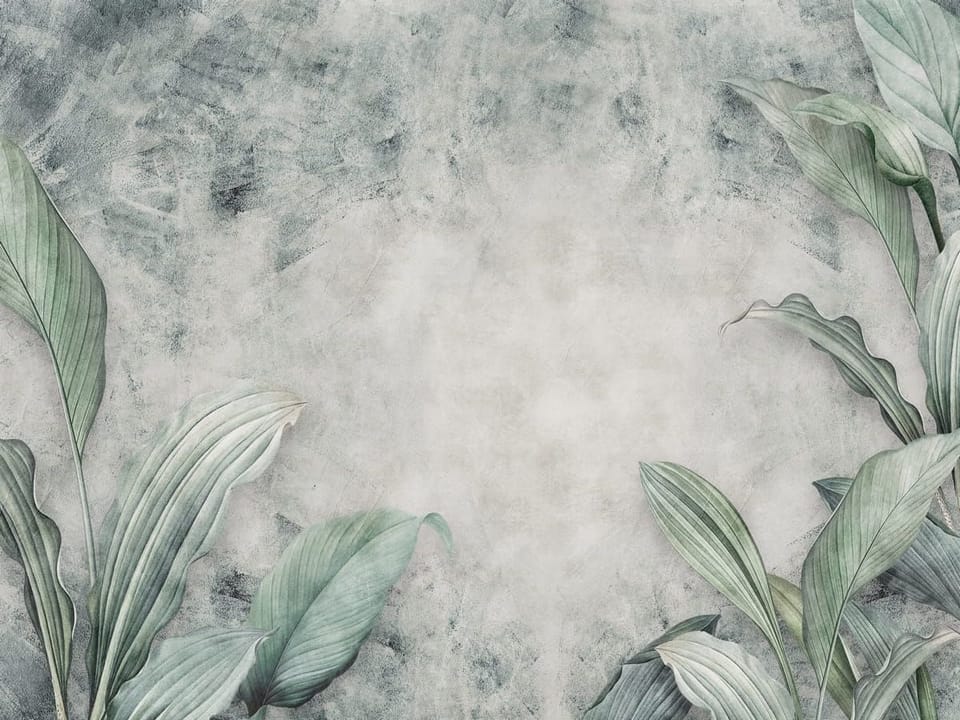 Fototapeta Zielone liście na szarym tle