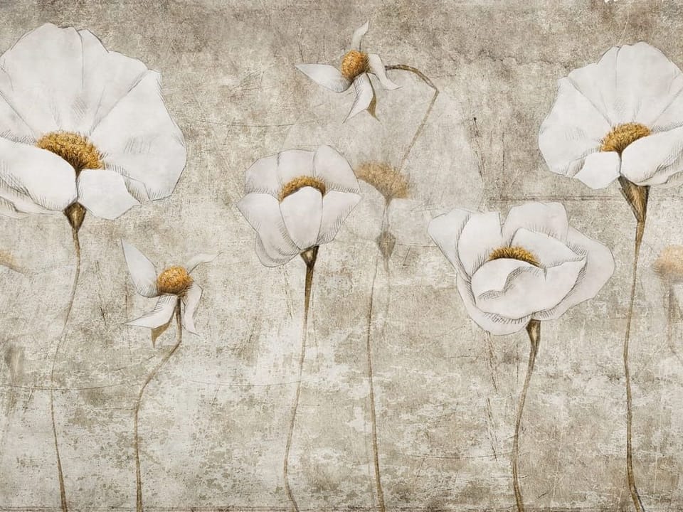 Fototapeta Białe maki na szarym tle